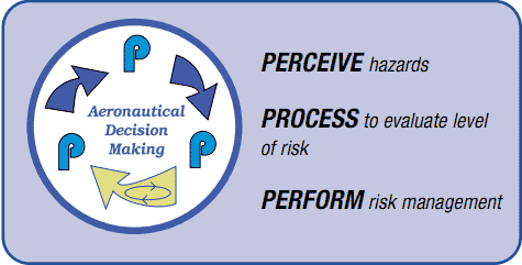 FAA̖{B@Rosk Management@BPerceive-Process-Perform Model